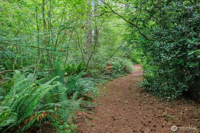 a view of a yard with plants and a tree