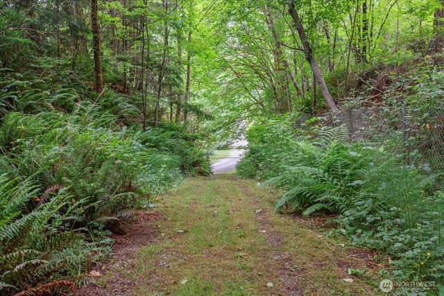 a close up of a plant in a garden