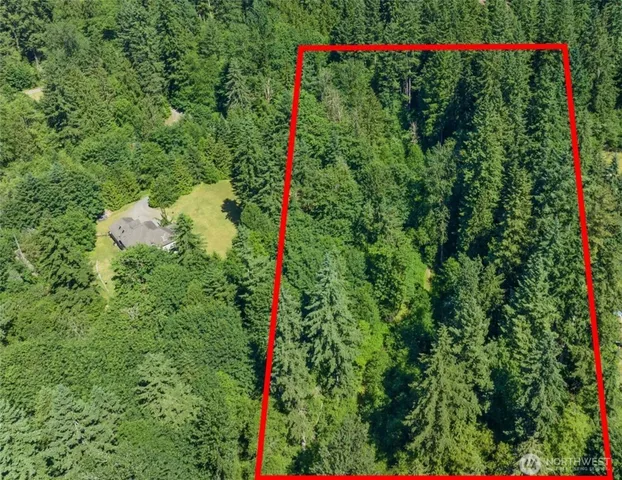 a view of a flower in a garden