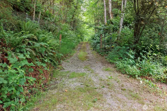 a view of a yard with plants and a small yard