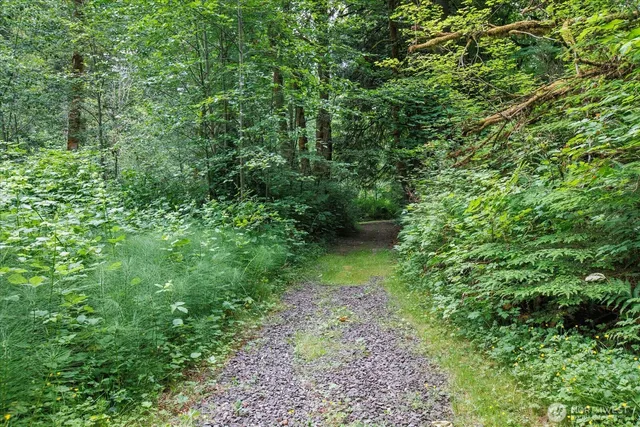 a view of a garden with a tree