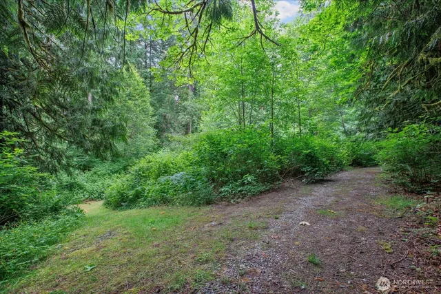 a view of a large yard with lots of green space
