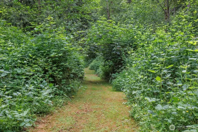 a view of a garden with a tree