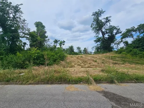 $10,000 | 4517 Maffitt Avenue, St. Louis, MO 63113