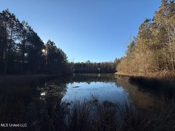 $700,000 | 1145 Ludlow Road, Lena, MS 39094