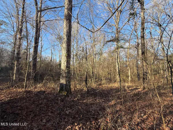 $700,000 | 1145 Ludlow Road, Lena, MS 39094