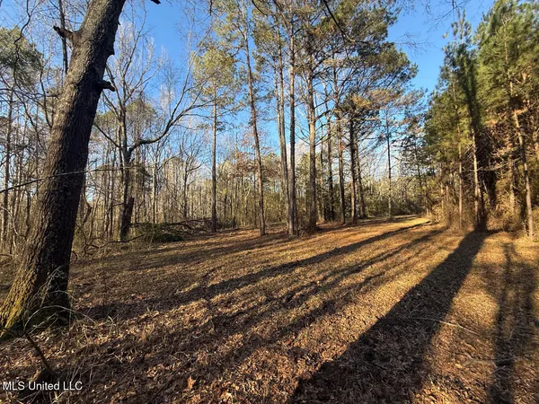 $700,000 | 1145 Ludlow Road, Lena, MS 39094