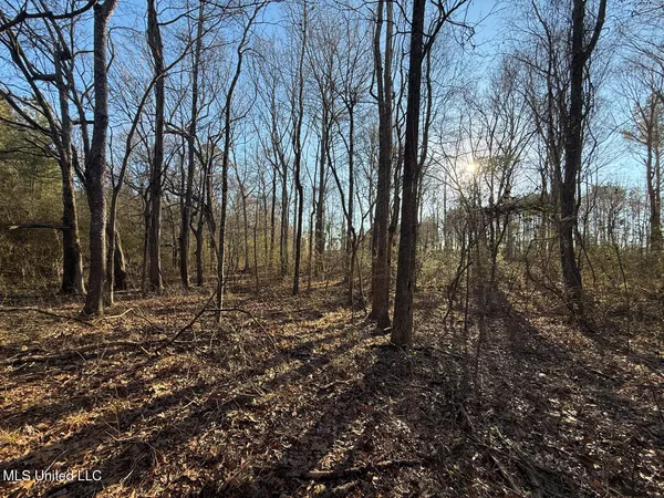 $700,000 | 1145 Ludlow Road, Lena, MS 39094