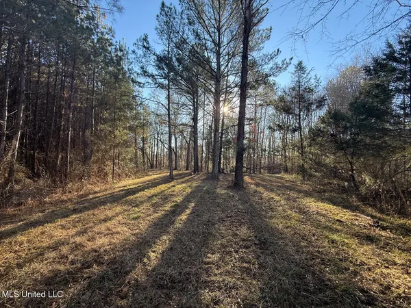 $700,000 | 1145 Ludlow Road, Lena, MS 39094