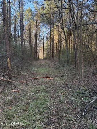 $700,000 | 1145 Ludlow Road, Lena, MS 39094