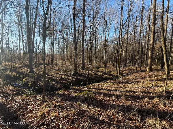 $700,000 | 1145 Ludlow Road, Lena, MS 39094