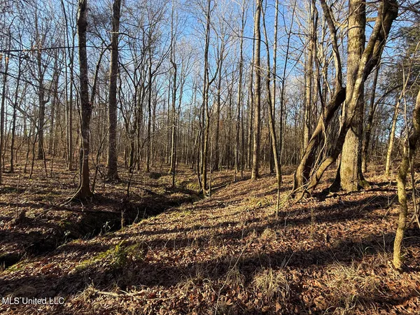 $700,000 | 1145 Ludlow Road, Lena, MS 39094