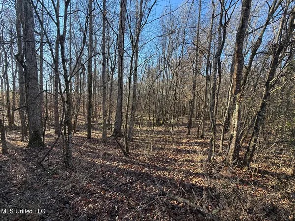 $700,000 | 1145 Ludlow Road, Lena, MS 39094