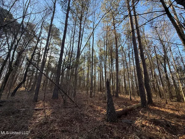 $700,000 | 1145 Ludlow Road, Lena, MS 39094