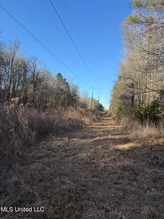 $700,000 | 1145 Ludlow Road, Lena, MS 39094