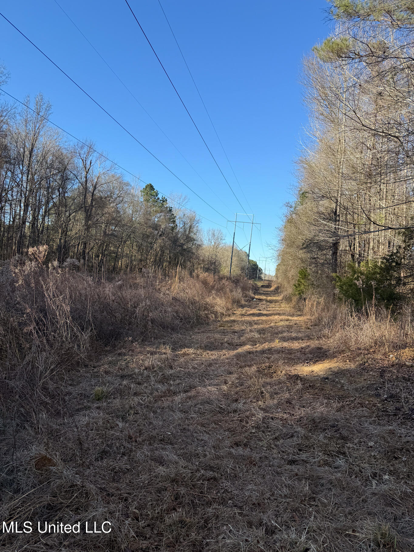 1145 Ludlow Road Lena, MS 39094 - Photo 23 of 76 Leake 250 resized-36