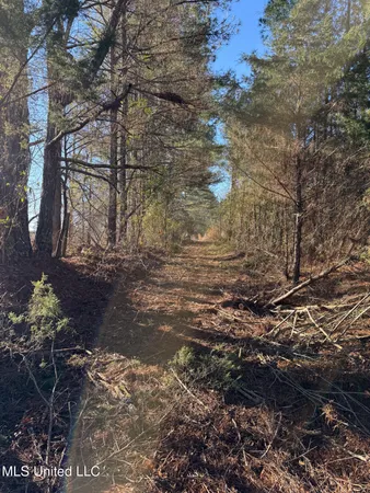 $700,000 | 1145 Ludlow Road, Lena, MS 39094