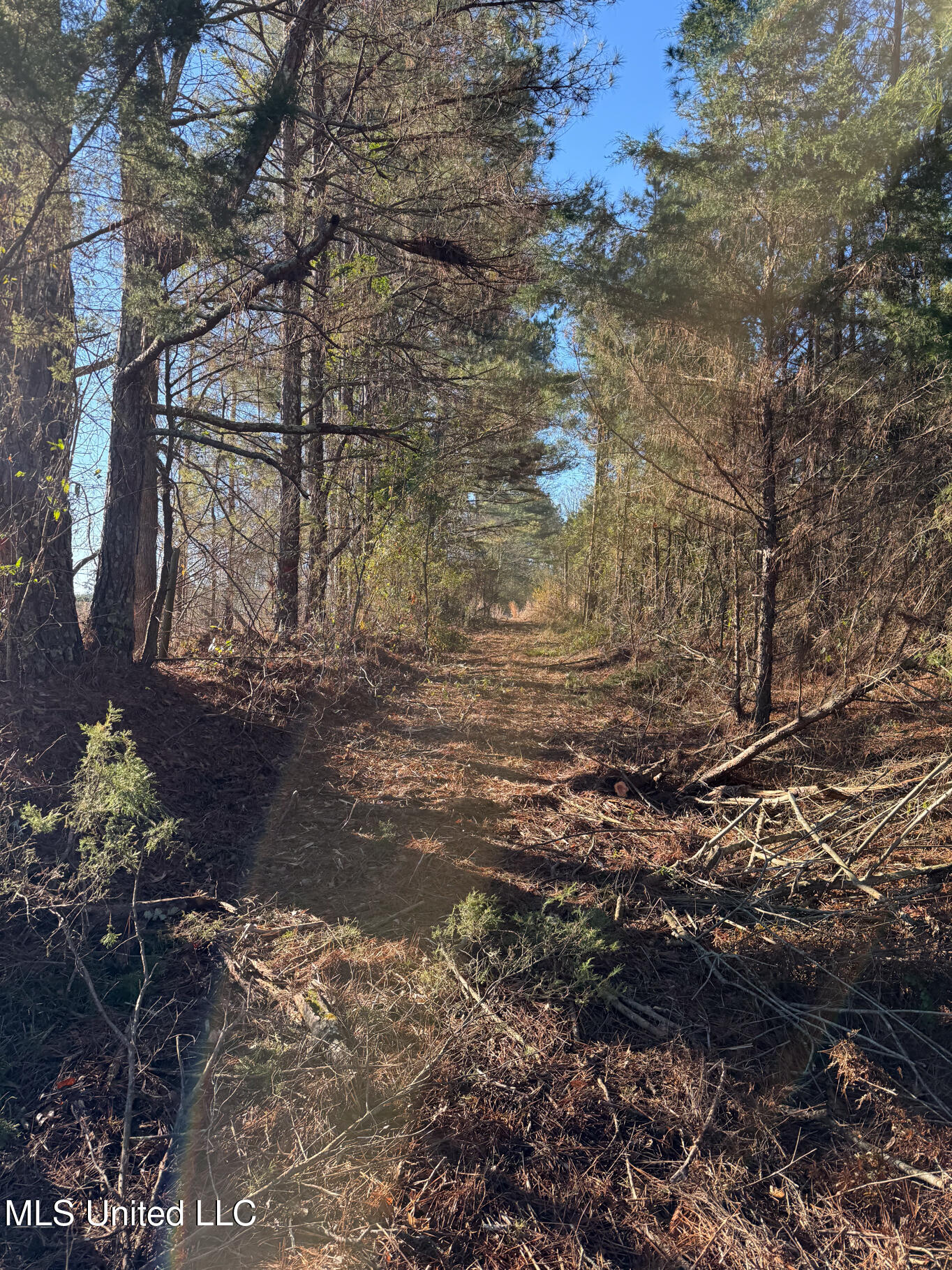 1145 Ludlow Road Lena, MS 39094 - Photo 24 of 76 Leake 250 resized-40