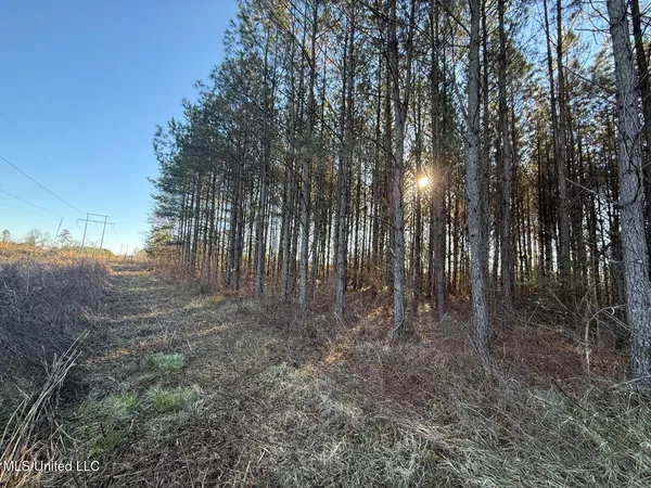 $700,000 | 1145 Ludlow Road, Lena, MS 39094