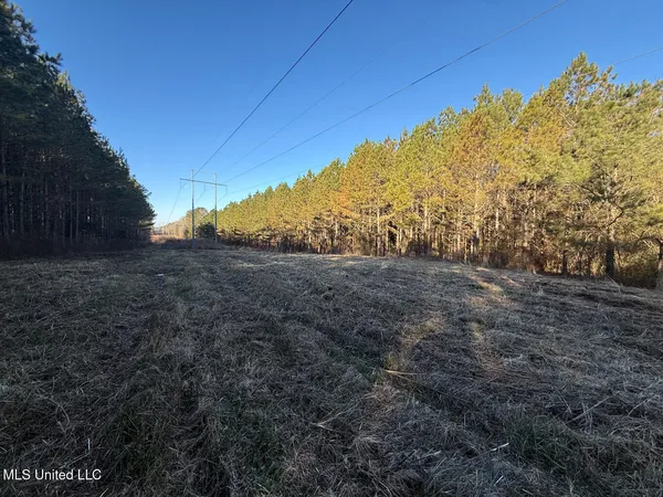 $700,000 | 1145 Ludlow Road, Lena, MS 39094