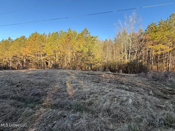 $700,000 | 1145 Ludlow Road, Lena, MS 39094