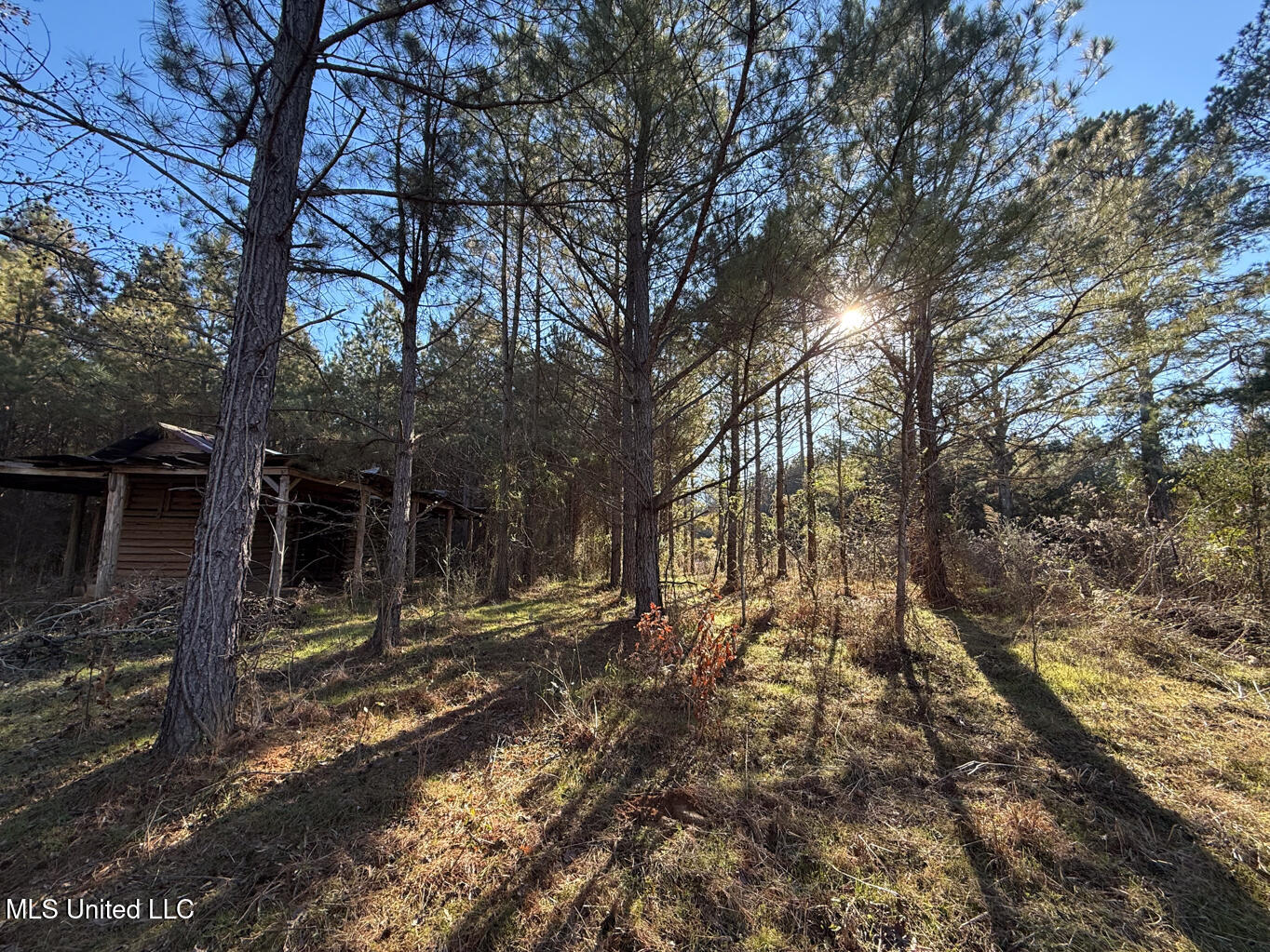 1145 Ludlow Road Lena, MS 39094 - Photo 28 of 76 Leake 250 resized-79