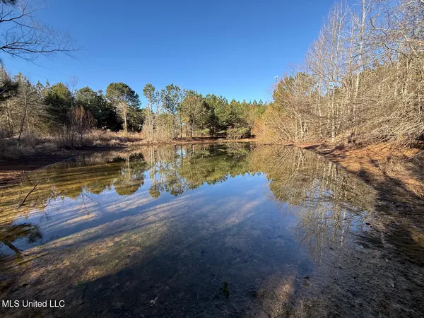 $700,000 | 1145 Ludlow Road, Lena, MS 39094