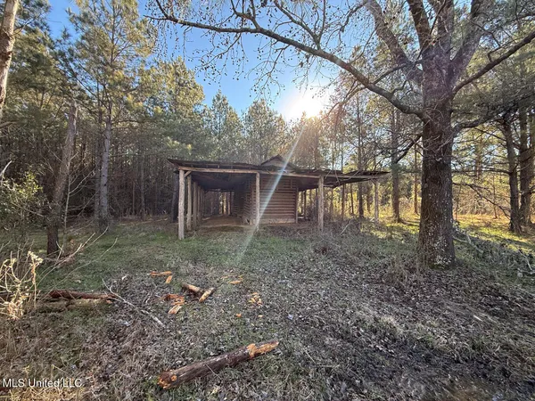 $700,000 | 1145 Ludlow Road, Lena, MS 39094