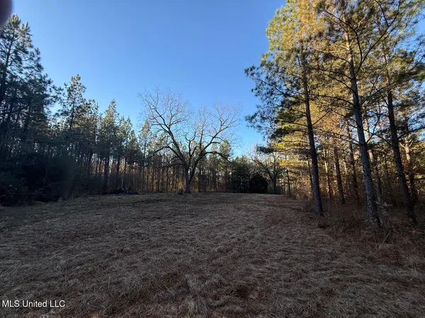 $700,000 | 1145 Ludlow Road, Lena, MS 39094