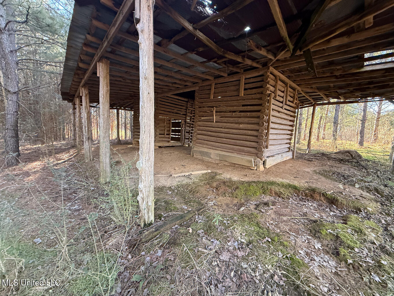 1145 Ludlow Road Lena, MS 39094 - Photo 31 of 76 Leake 250 resized-82