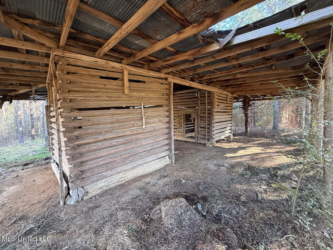 1145 Ludlow Road Lena, MS 39094 - Photo 33 of 76 Leake 250 resized-86