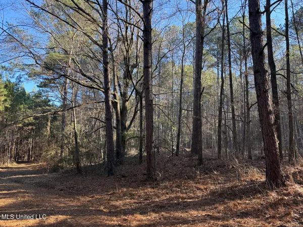 $700,000 | 1145 Ludlow Road, Lena, MS 39094