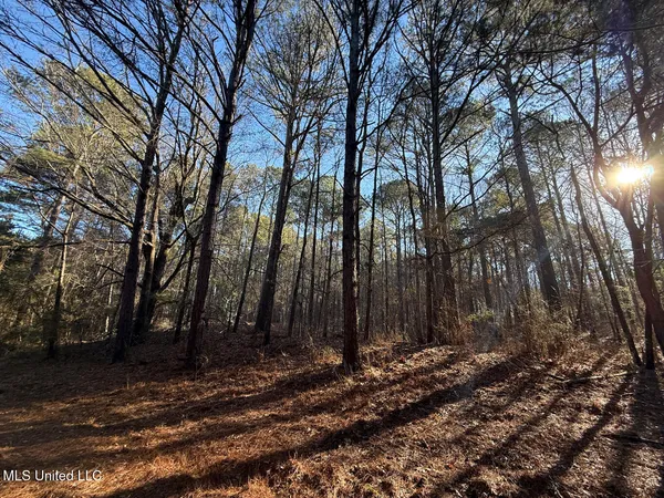 $700,000 | 1145 Ludlow Road, Lena, MS 39094