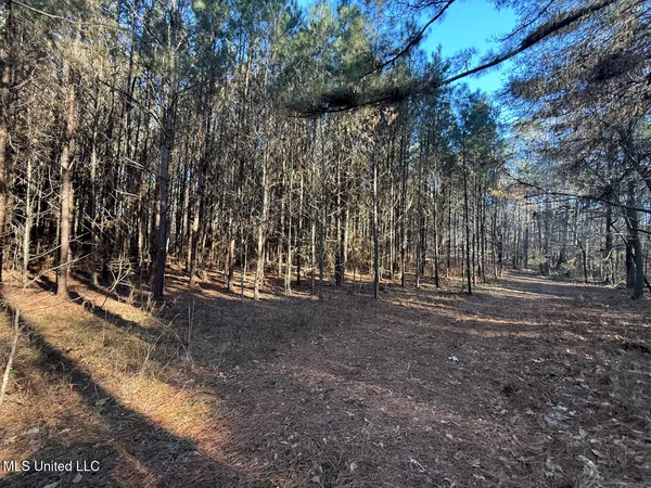 $700,000 | 1145 Ludlow Road, Lena, MS 39094