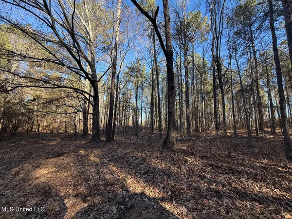 $700,000 | 1145 Ludlow Road, Lena, MS 39094