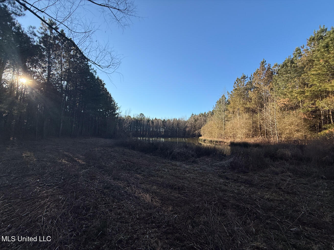 1145 Ludlow Road Lena, MS 39094 - Photo 4 of 76 Leake 250 resized-3