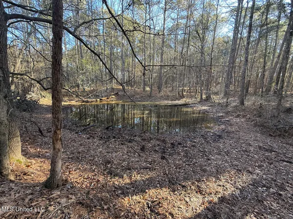 $700,000 | 1145 Ludlow Road, Lena, MS 39094