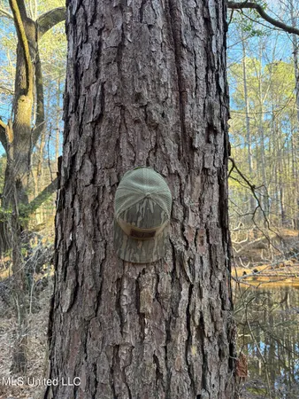 $700,000 | 1145 Ludlow Road, Lena, MS 39094