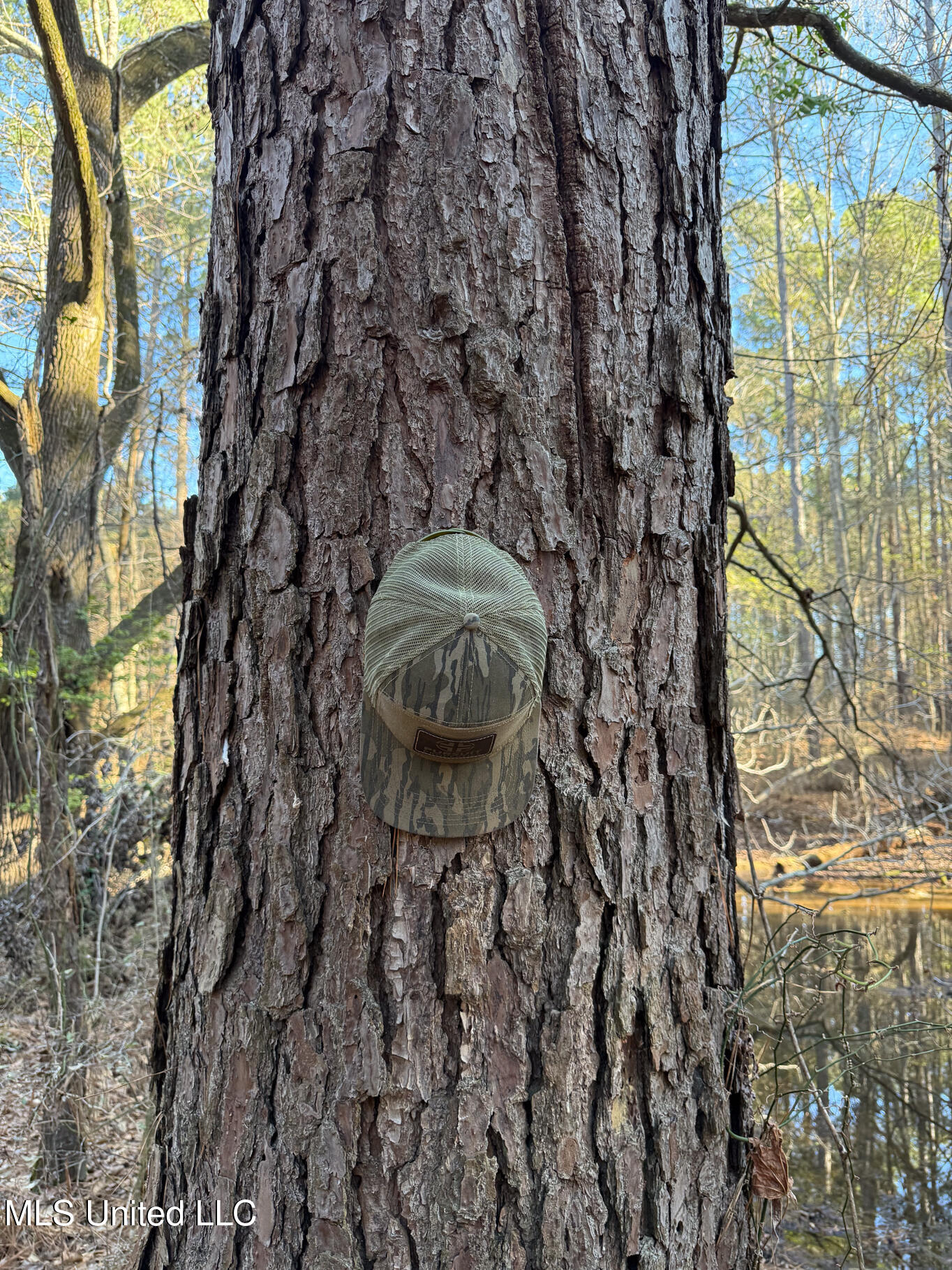 1145 Ludlow Road Lena, MS 39094 - Photo 44 of 76 Leake 250 resized-99