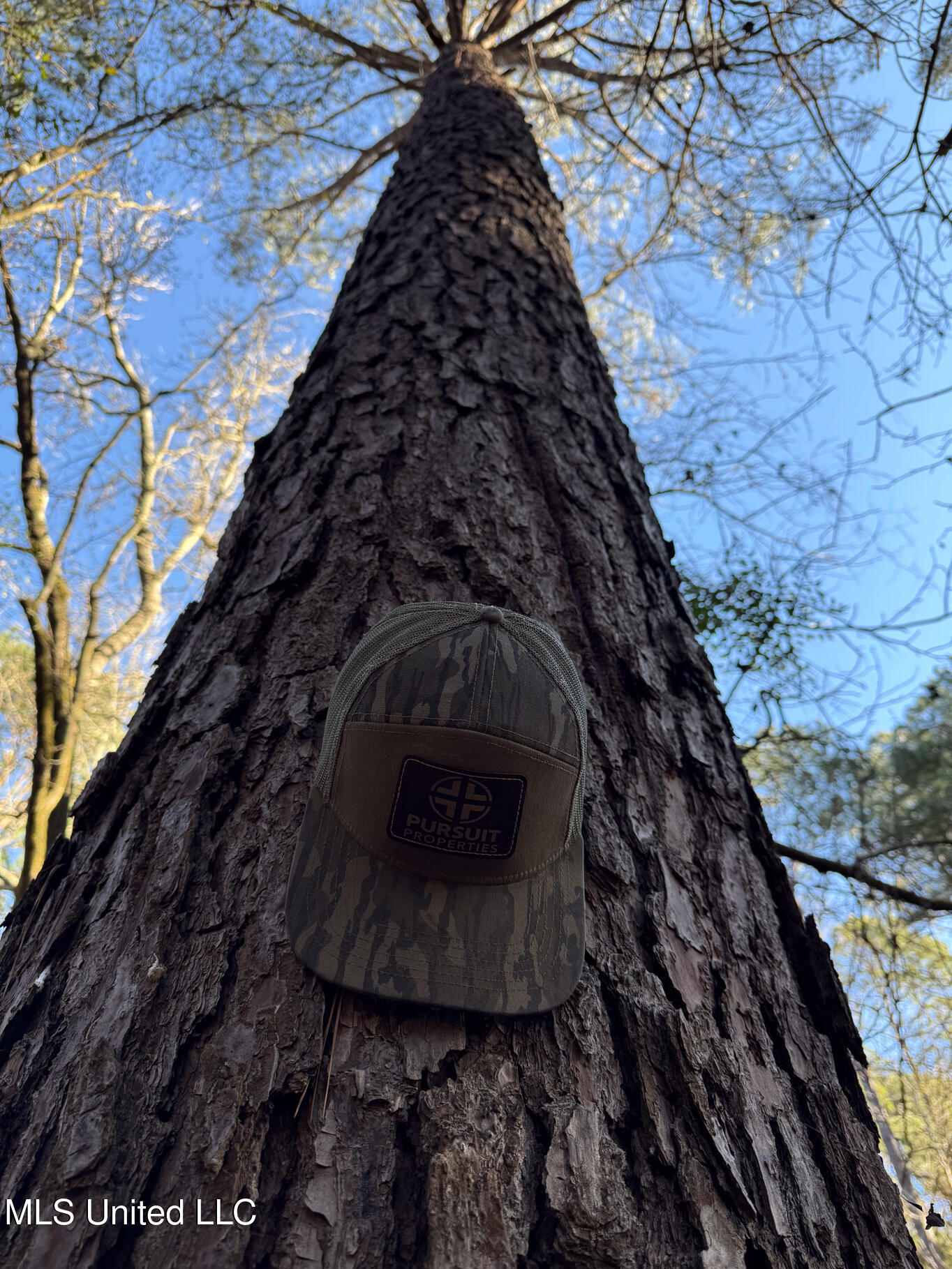 1145 Ludlow Road Lena, MS 39094 - Photo 45 of 76 Leake 250 resized-100