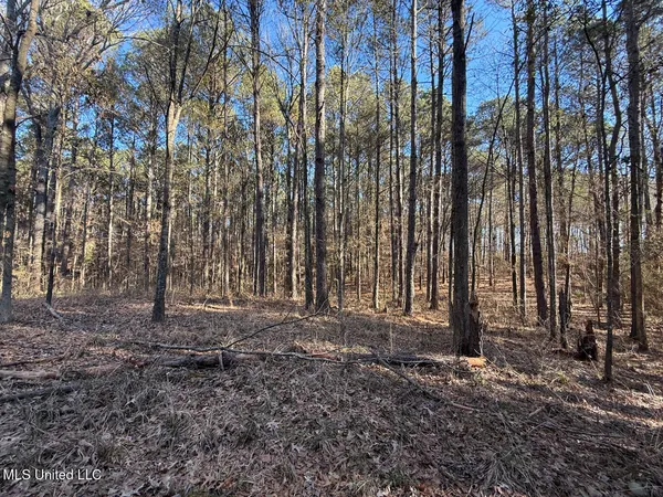 $700,000 | 1145 Ludlow Road, Lena, MS 39094