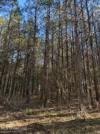 $700,000 | 1145 Ludlow Road, Lena, MS 39094