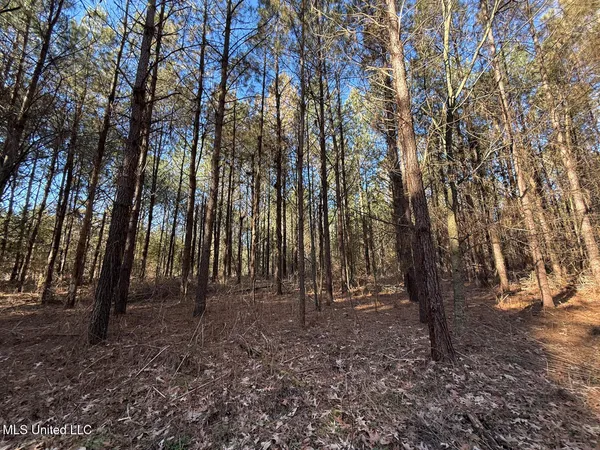 $700,000 | 1145 Ludlow Road, Lena, MS 39094