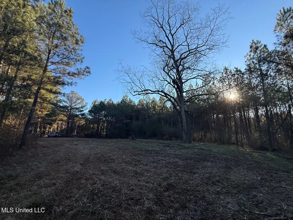 $700,000 | 1145 Ludlow Road, Lena, MS 39094