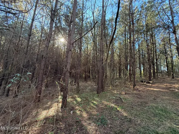 $700,000 | 1145 Ludlow Road, Lena, MS 39094