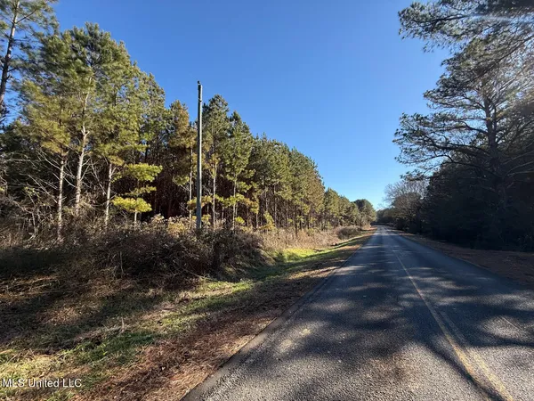 $700,000 | 1145 Ludlow Road, Lena, MS 39094