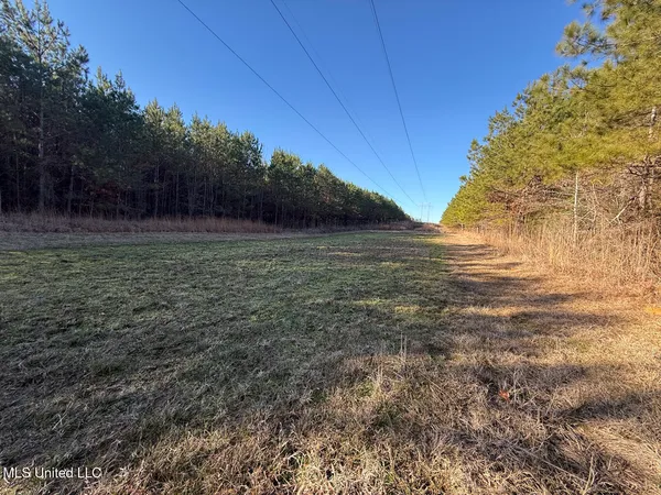 $700,000 | 1145 Ludlow Road, Lena, MS 39094