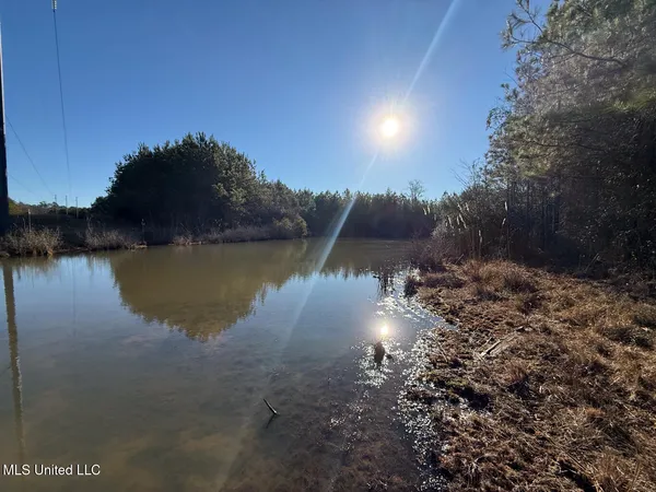 $700,000 | 1145 Ludlow Road, Lena, MS 39094