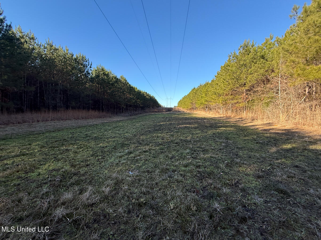 1145 Ludlow Road Lena, MS 39094 - Photo 55 of 76 Leake 250 resized-50