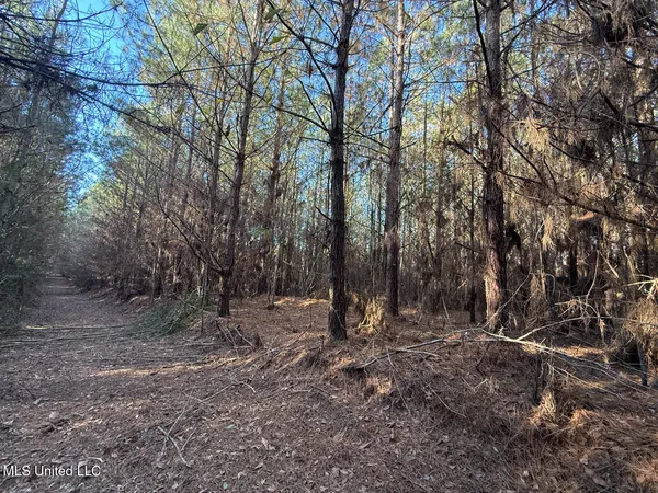 $700,000 | 1145 Ludlow Road, Lena, MS 39094